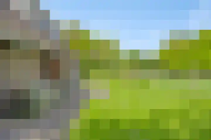 Van Royenstraat 3 Diever thumbnail 36