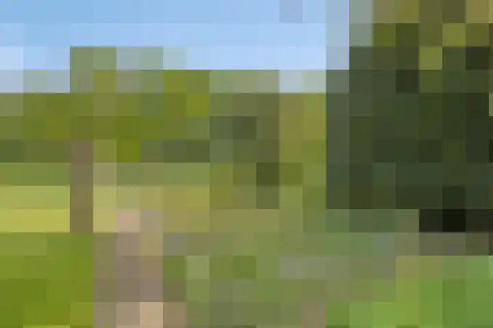 Van Royenstraat 3 Diever thumbnail 37