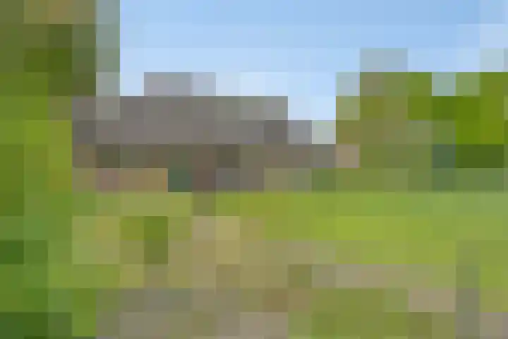 Van Royenstraat 3 Diever thumbnail 38