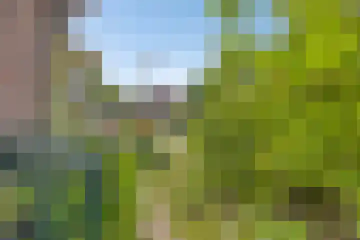 Van Royenstraat 3 Diever thumbnail 39