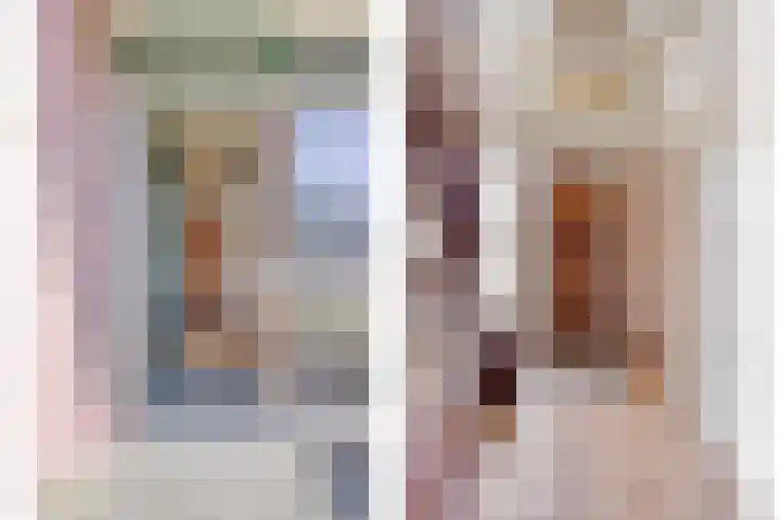 Van Royenstraat 3 Diever thumbnail 4