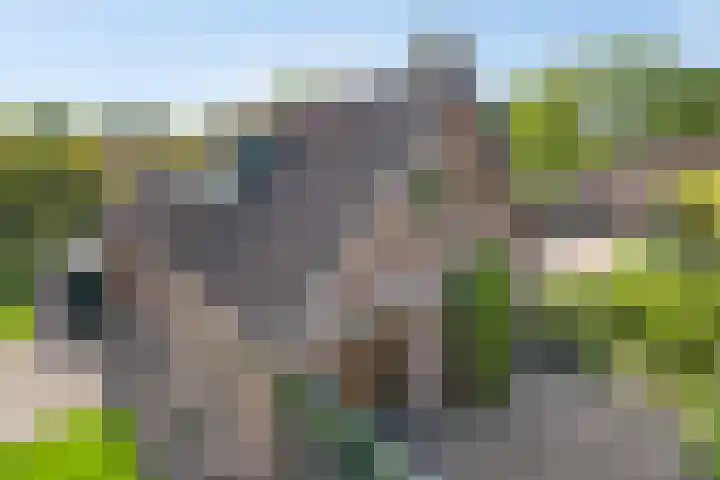Van Royenstraat 3 Diever thumbnail 40