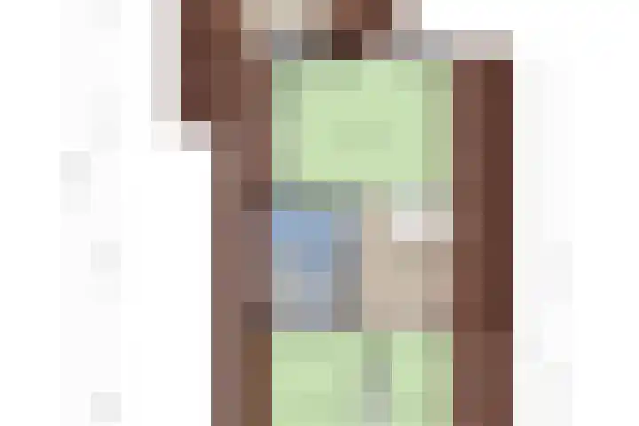 Van Royenstraat 3 Diever thumbnail 44