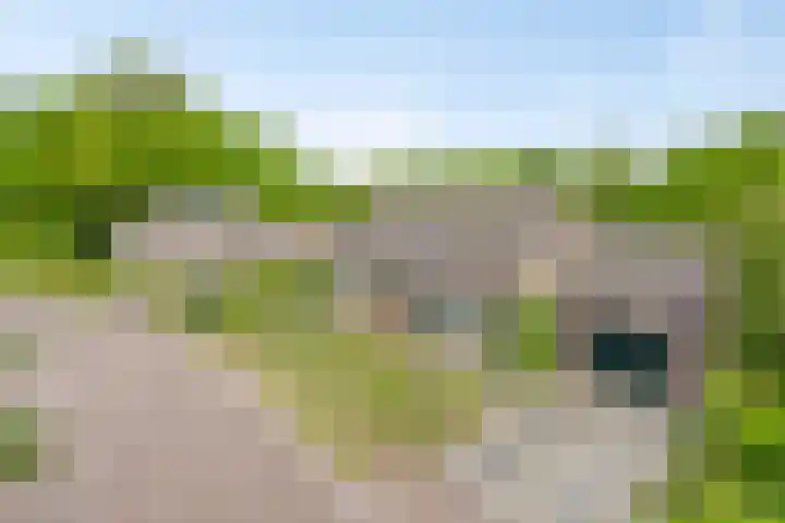 Van Royenstraat 3 Diever thumbnail 45