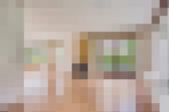 Van Royenstraat 3 Diever thumbnail 6