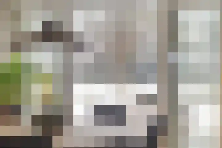 Van Royenstraat 5 Diever thumbnail 10