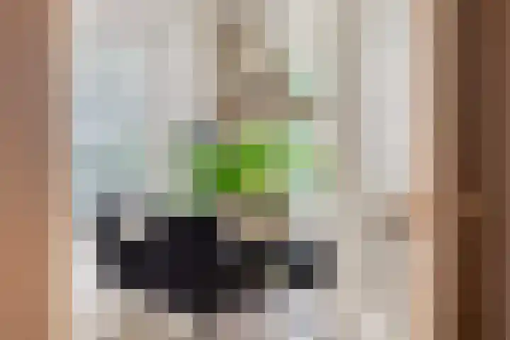 Van Royenstraat 5 Diever thumbnail 12