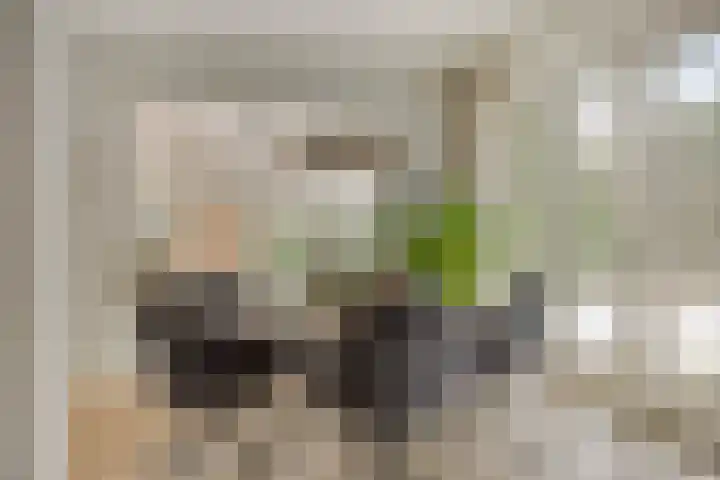 Van Royenstraat 5 Diever thumbnail 13