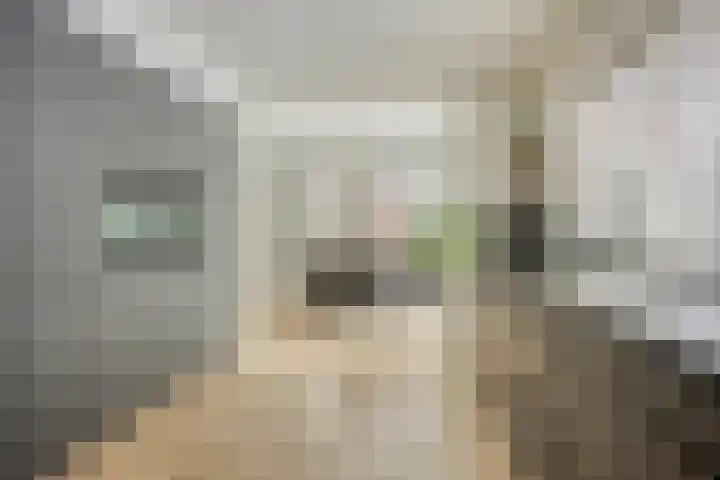 Van Royenstraat 5 Diever thumbnail 15