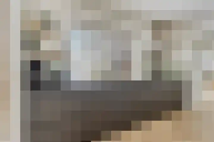 Van Royenstraat 5 Diever thumbnail 16