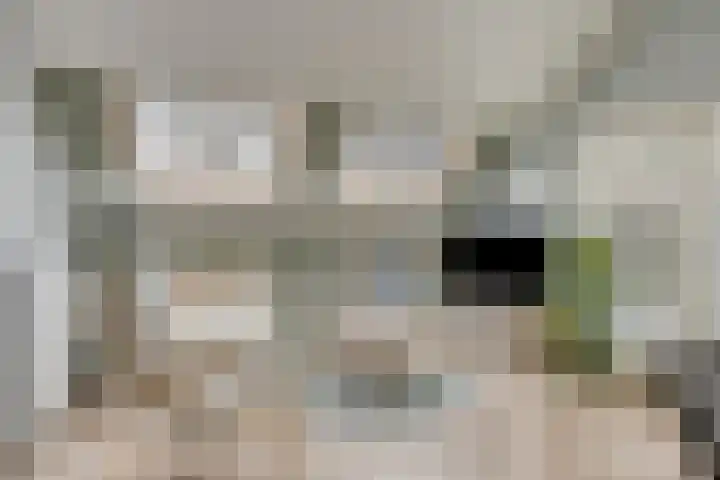 Van Royenstraat 5 Diever thumbnail 18