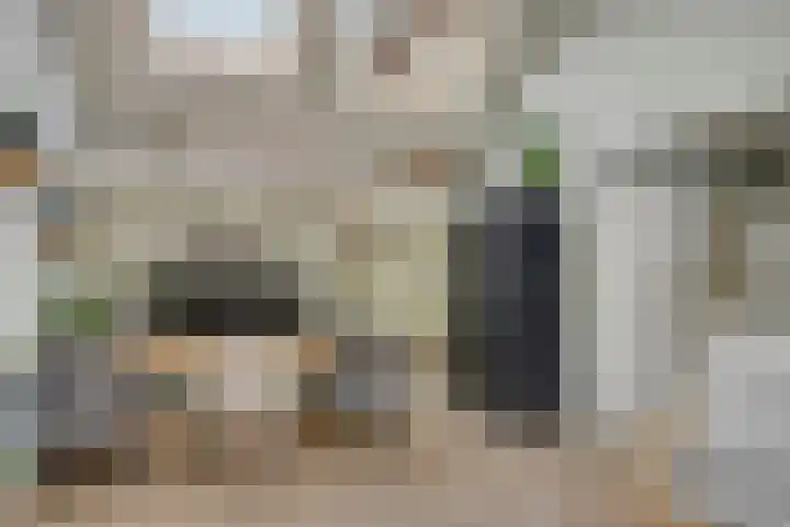 Van Royenstraat 5 Diever thumbnail 20