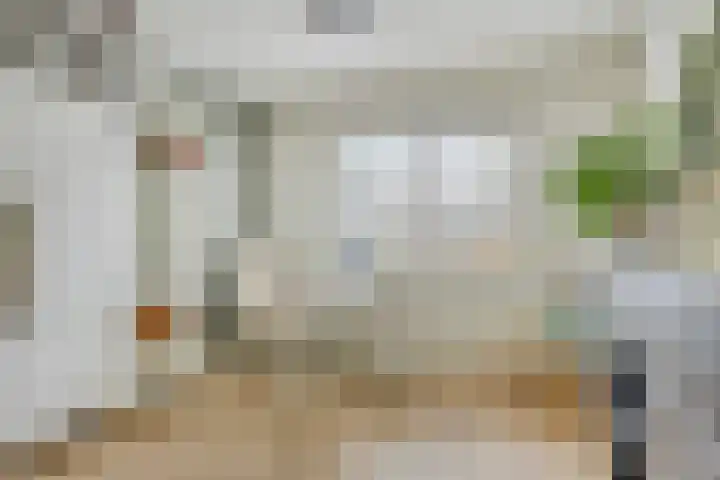 Van Royenstraat 5 Diever thumbnail 21