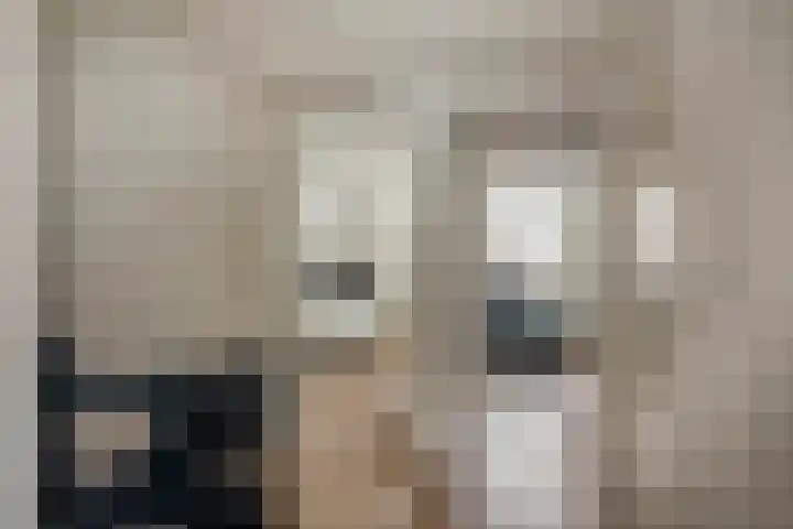 Van Royenstraat 5 Diever thumbnail 26