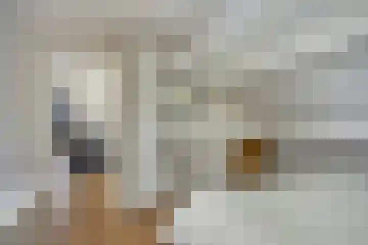 Van Royenstraat 5 Diever thumbnail 31