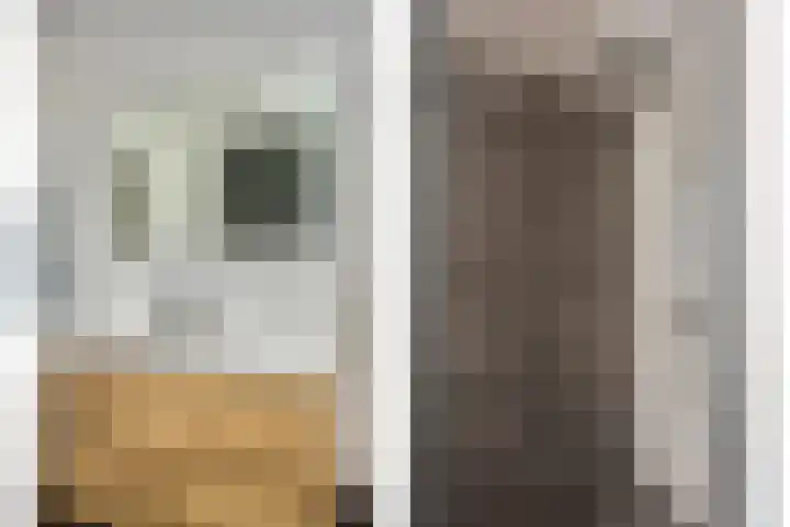 Van Royenstraat 5 Diever thumbnail 34