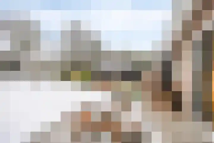 Van Royenstraat 5 Diever thumbnail 36