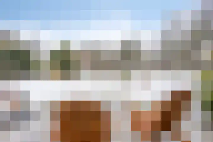 Van Royenstraat 5 Diever thumbnail 38