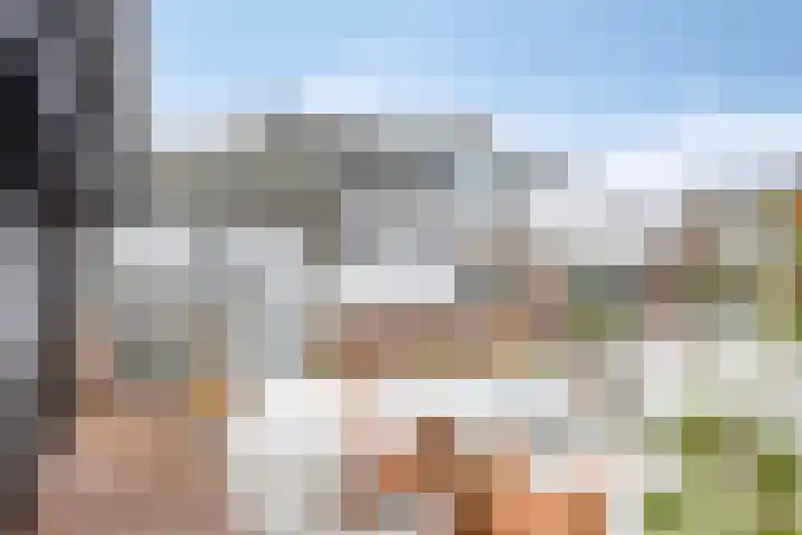 Van Royenstraat 5 Diever thumbnail 39