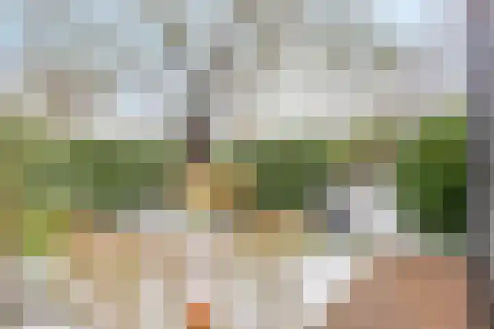Van Royenstraat 5 Diever thumbnail 41