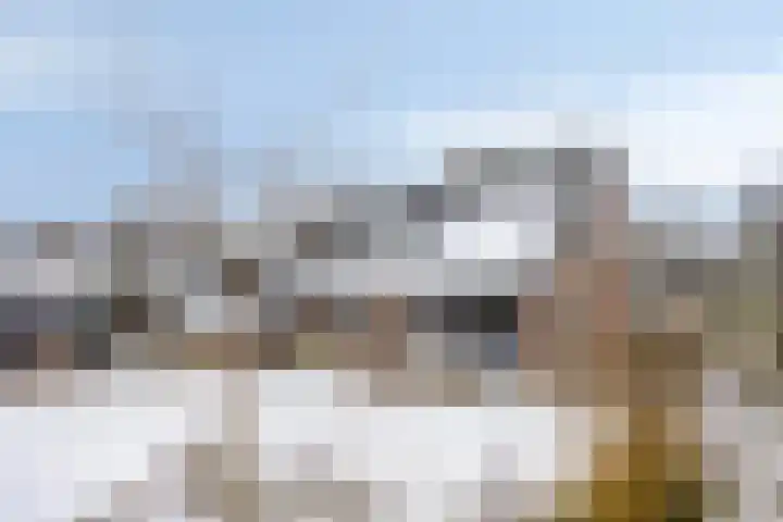 Van Royenstraat 5 Diever thumbnail 42