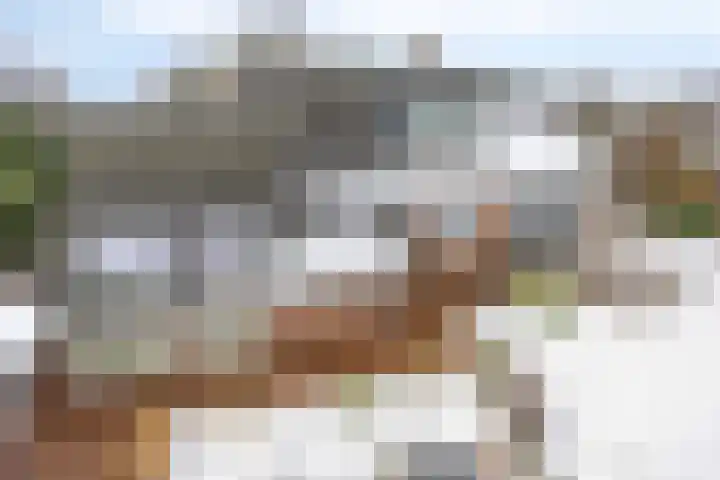 Van Royenstraat 5 Diever thumbnail 45
