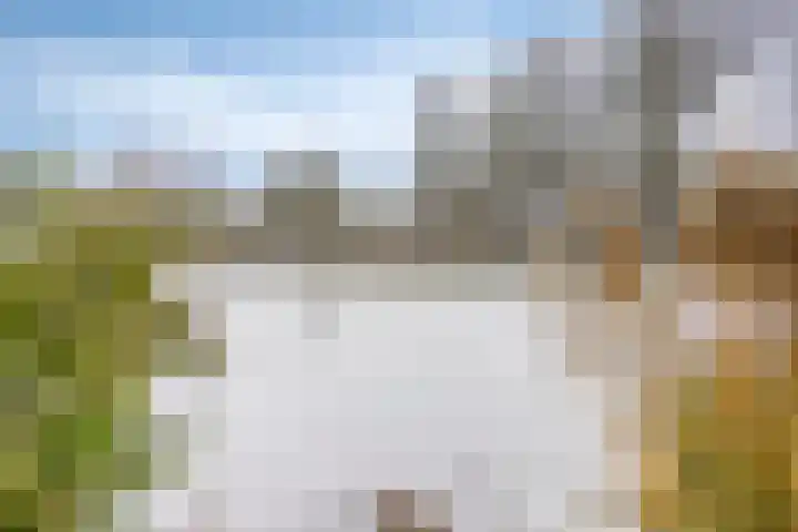 Van Royenstraat 5 Diever thumbnail 47