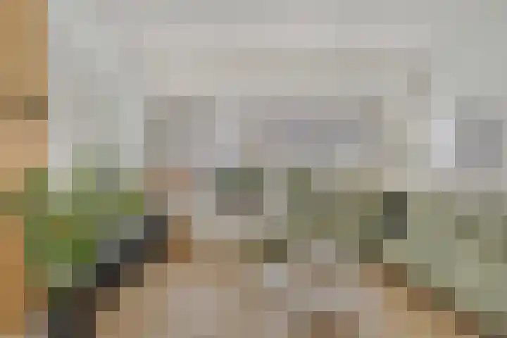 Van Royenstraat 5 Diever thumbnail 6