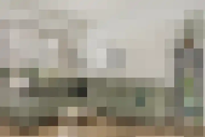 Van Royenstraat 5 Diever thumbnail 7