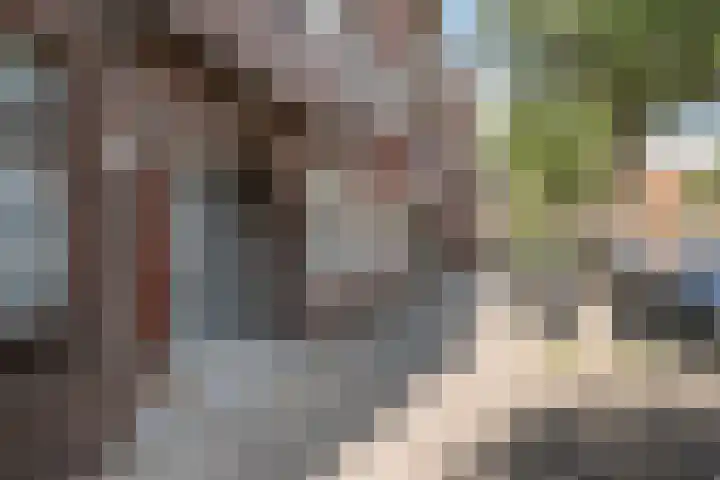 Van Ruijsdaellaan 28 A Schiedam thumbnail 6