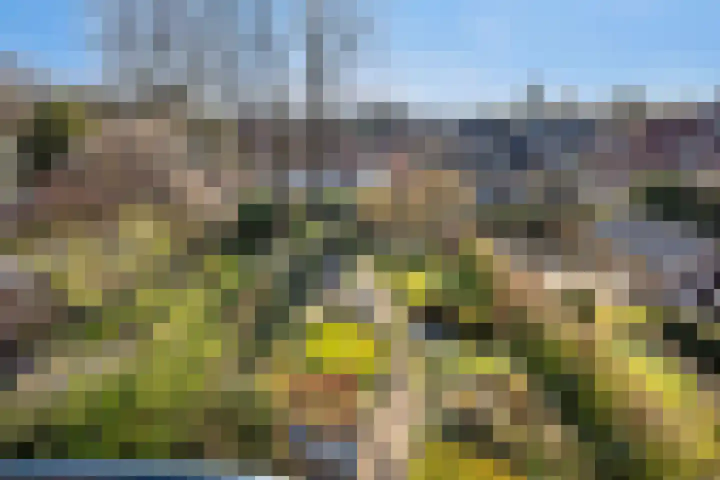 Van Ruisdaelstraat 11 Arnhem thumbnail 37