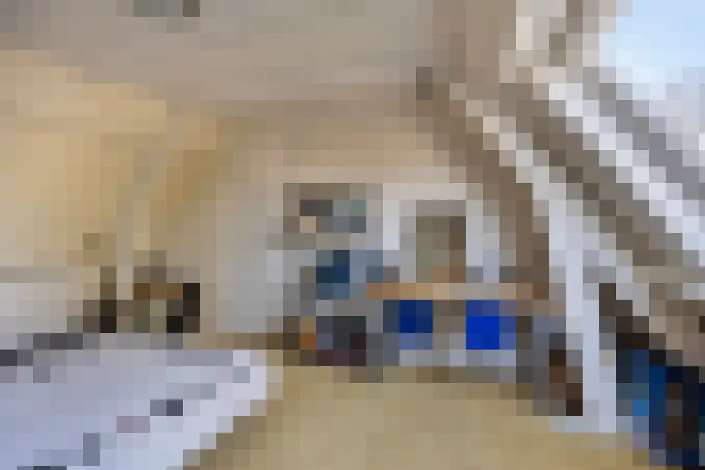 Van Ruisdaelstraat 11 Arnhem thumbnail 41