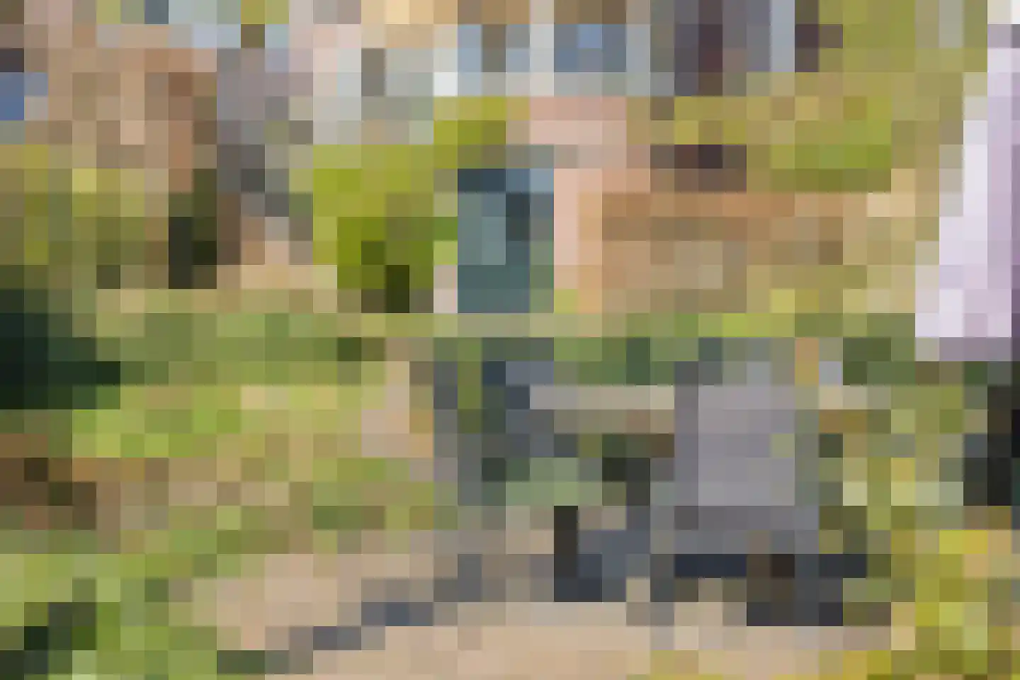 Van Ruisdaelstraat 11 Arnhem thumbnail 47