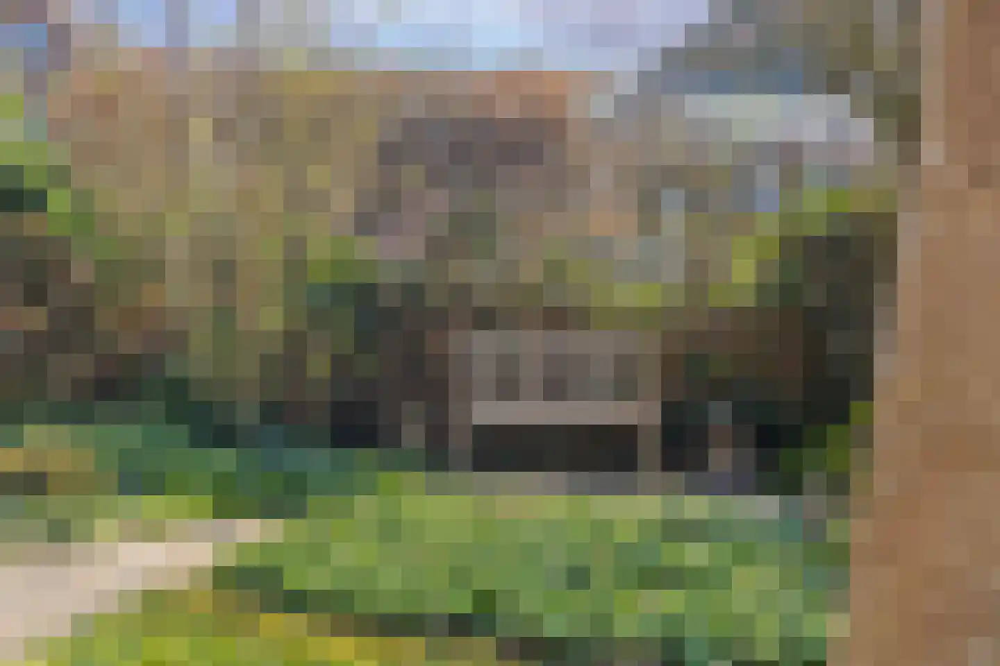 Van Ruisdaelstraat 11 Arnhem thumbnail 53