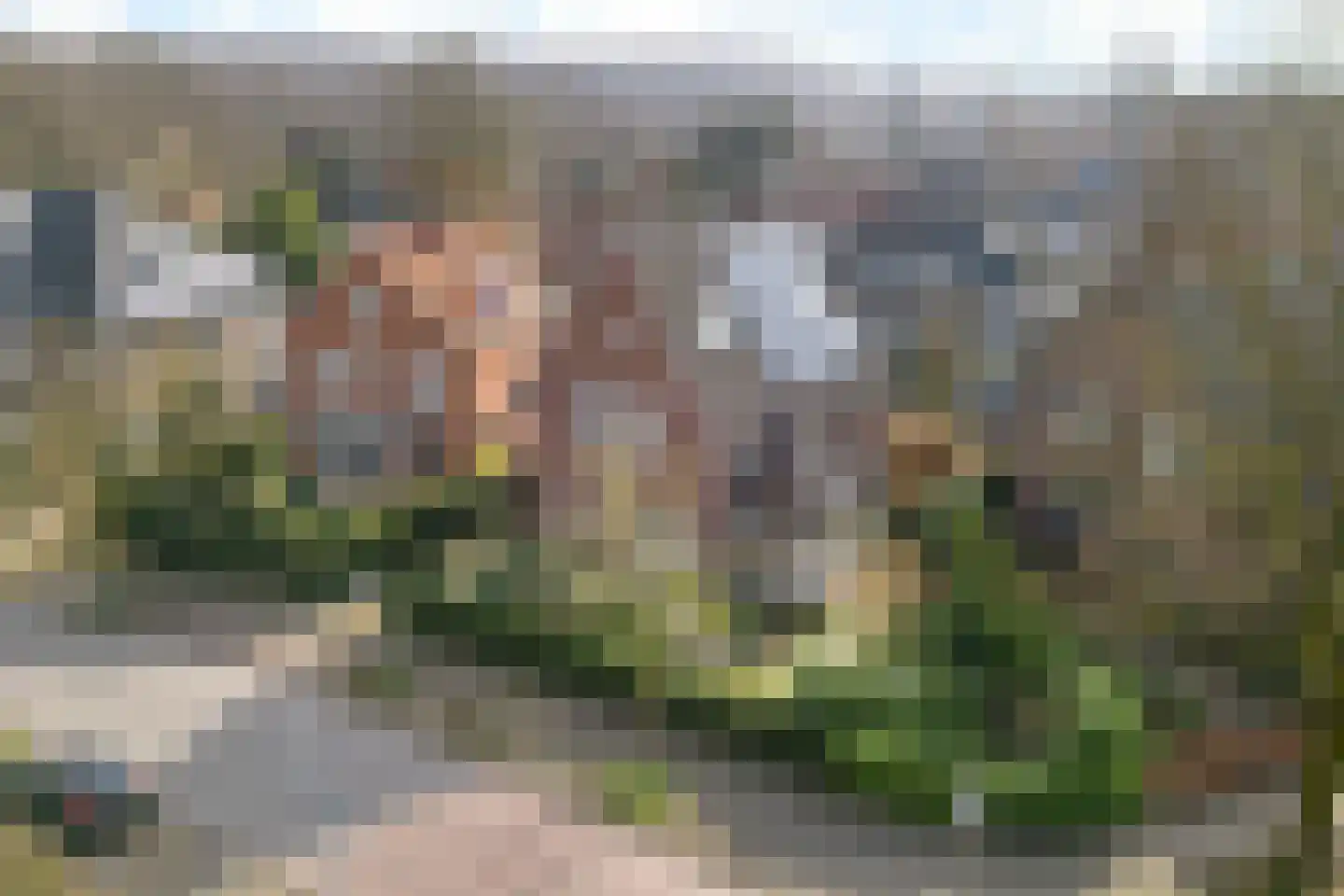 Van Ruisdaelstraat 11 Arnhem thumbnail 60