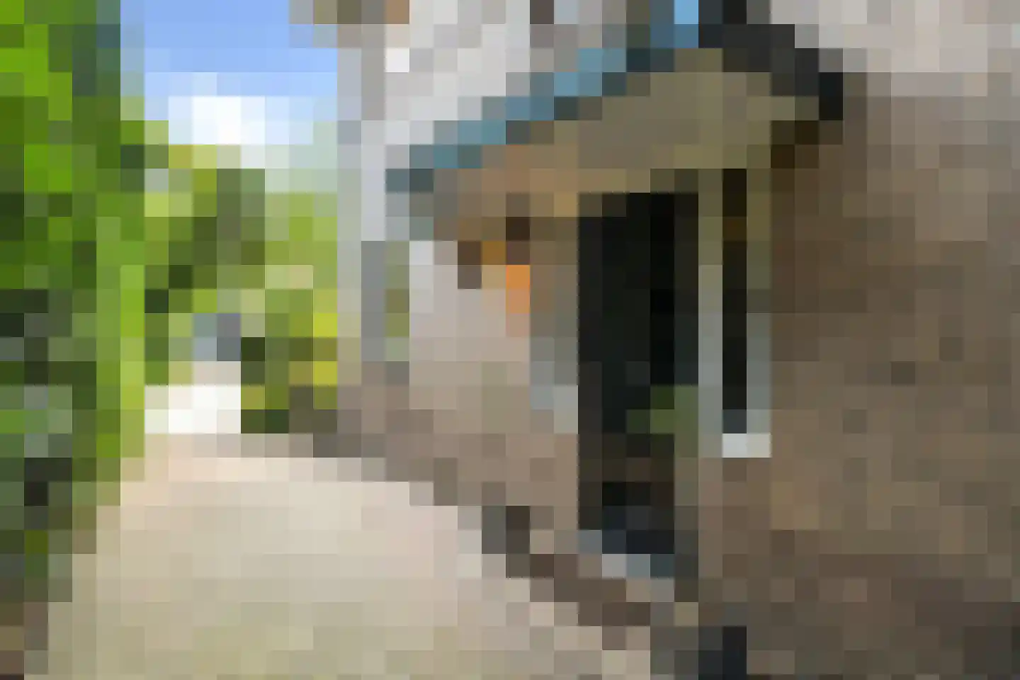 Van Ruisdaelstraat 12 Arnhem thumbnail 10