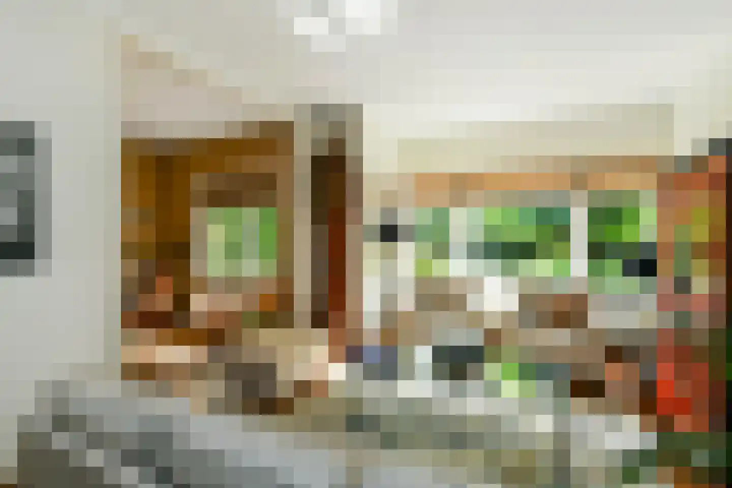 Van Ruisdaelstraat 12 Arnhem thumbnail 14