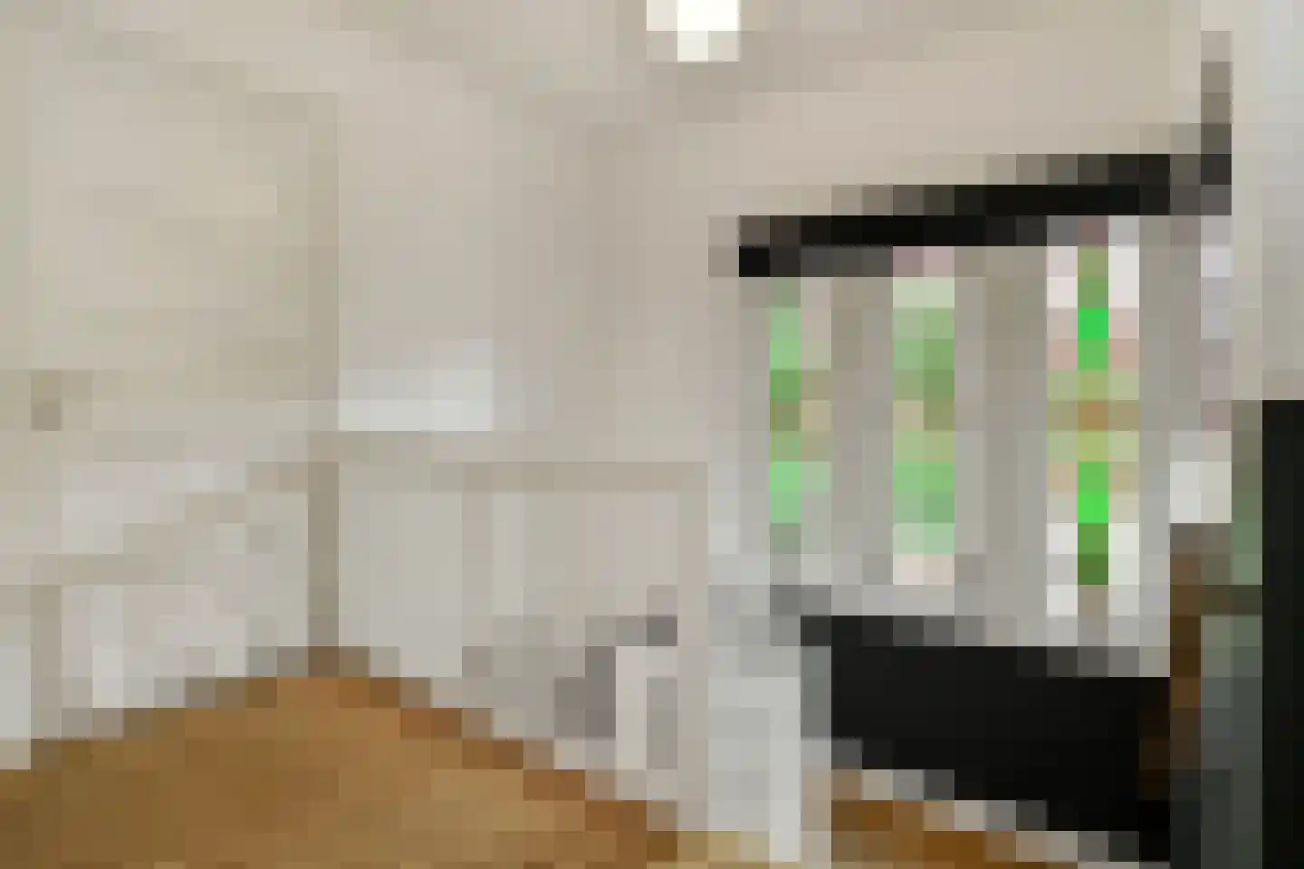 Van Ruisdaelstraat 12 Arnhem thumbnail 30