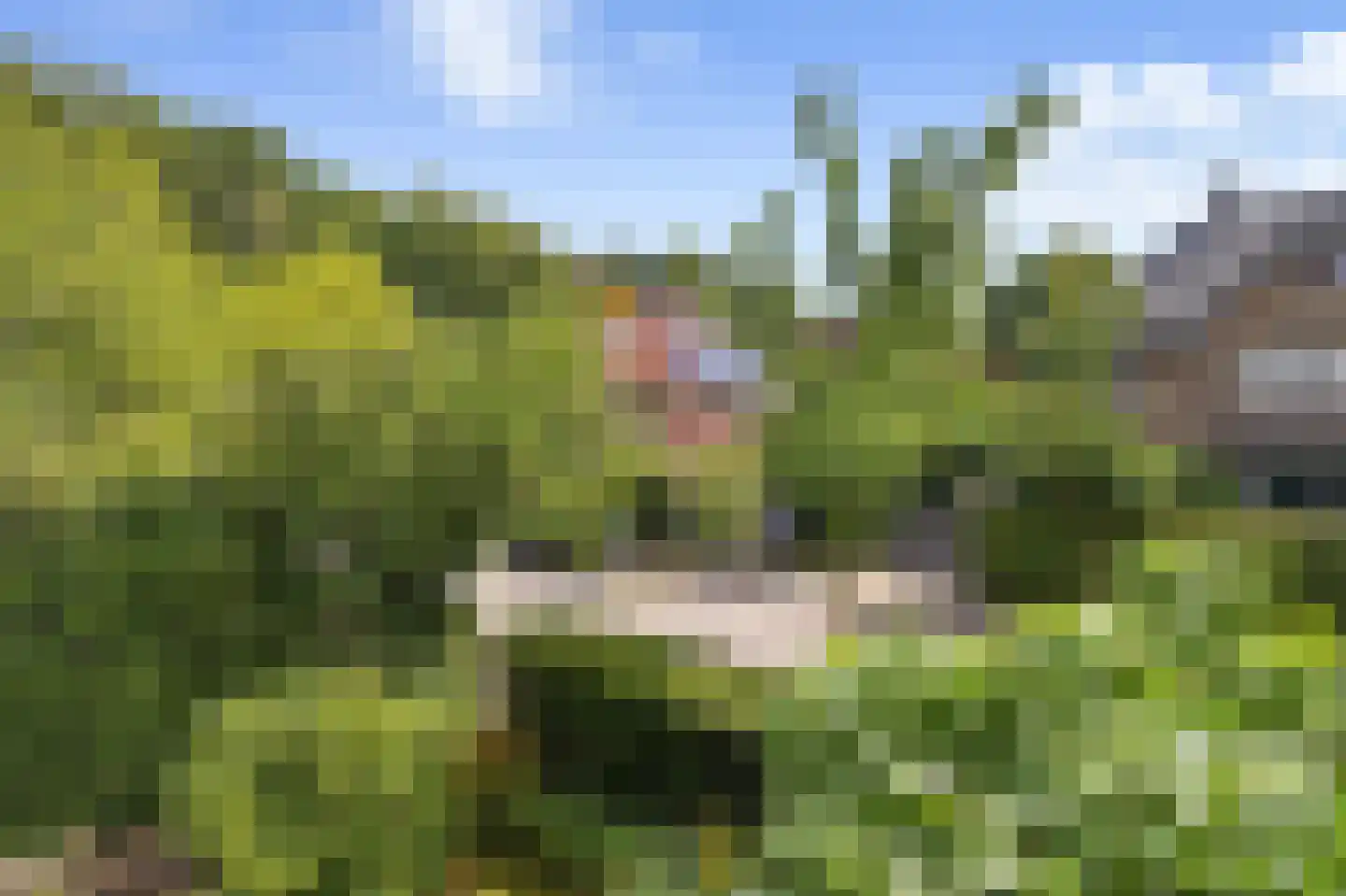 Van Ruisdaelstraat 12 Arnhem thumbnail 34