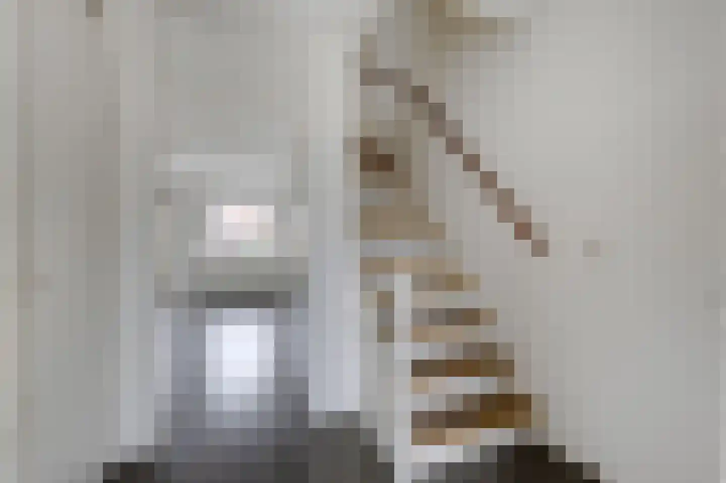 van Ruisdaelstraat 34 Duiven thumbnail 12
