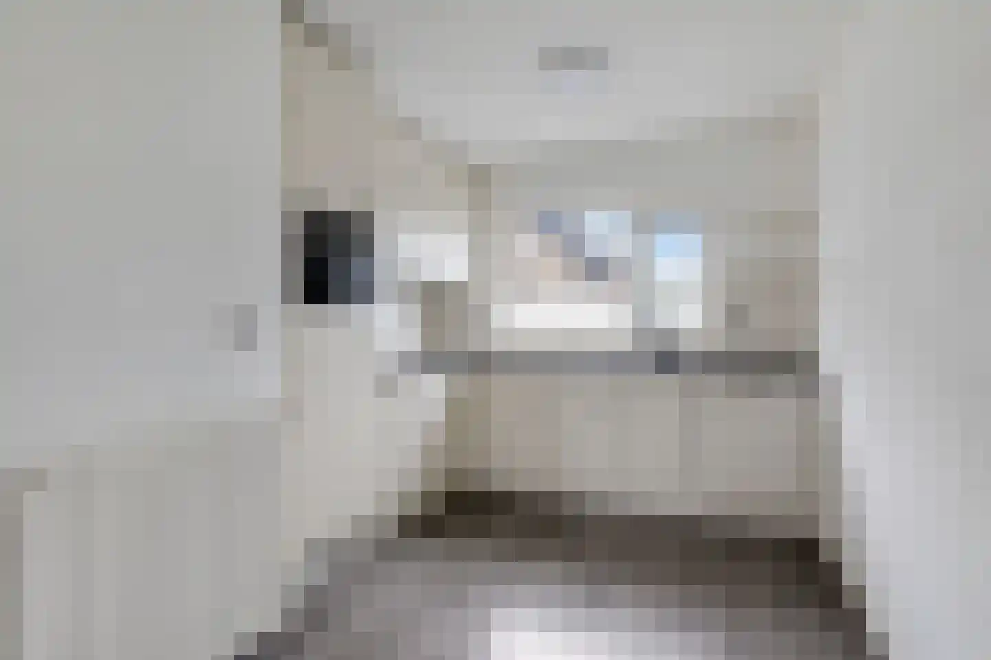 van Ruisdaelstraat 34 Duiven thumbnail 17