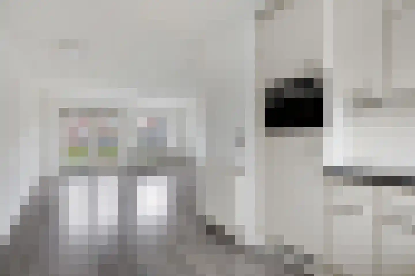 van Ruisdaelstraat 34 Duiven thumbnail 19