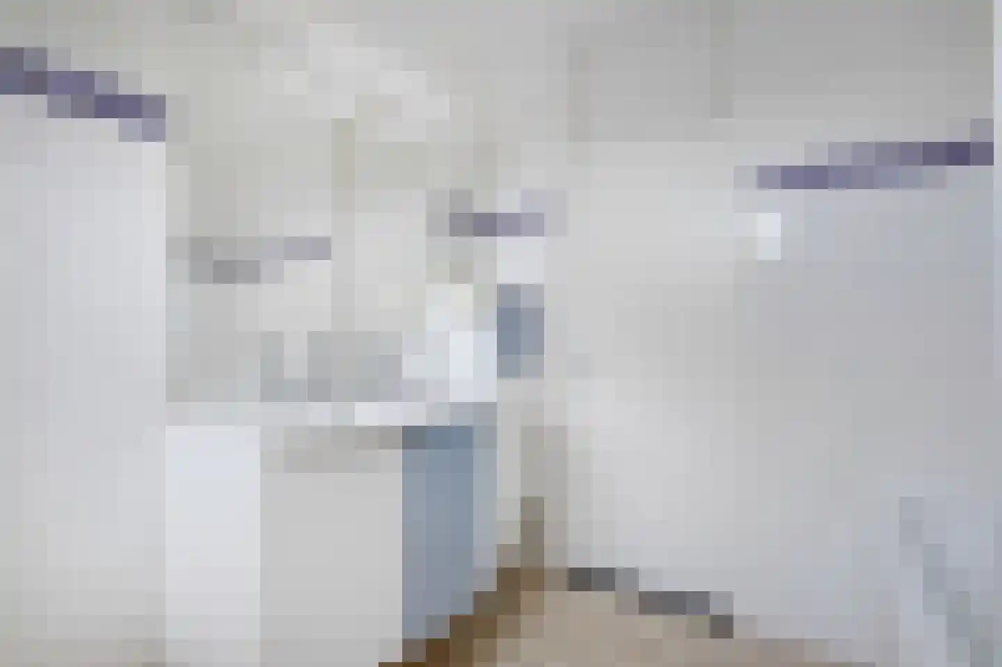 van Ruisdaelstraat 34 Duiven thumbnail 24