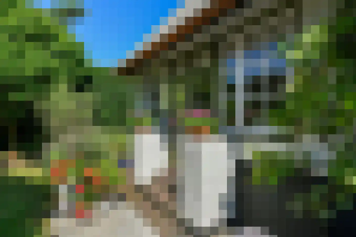 Van Ruisdaelstraat 35 Arnhem thumbnail 16
