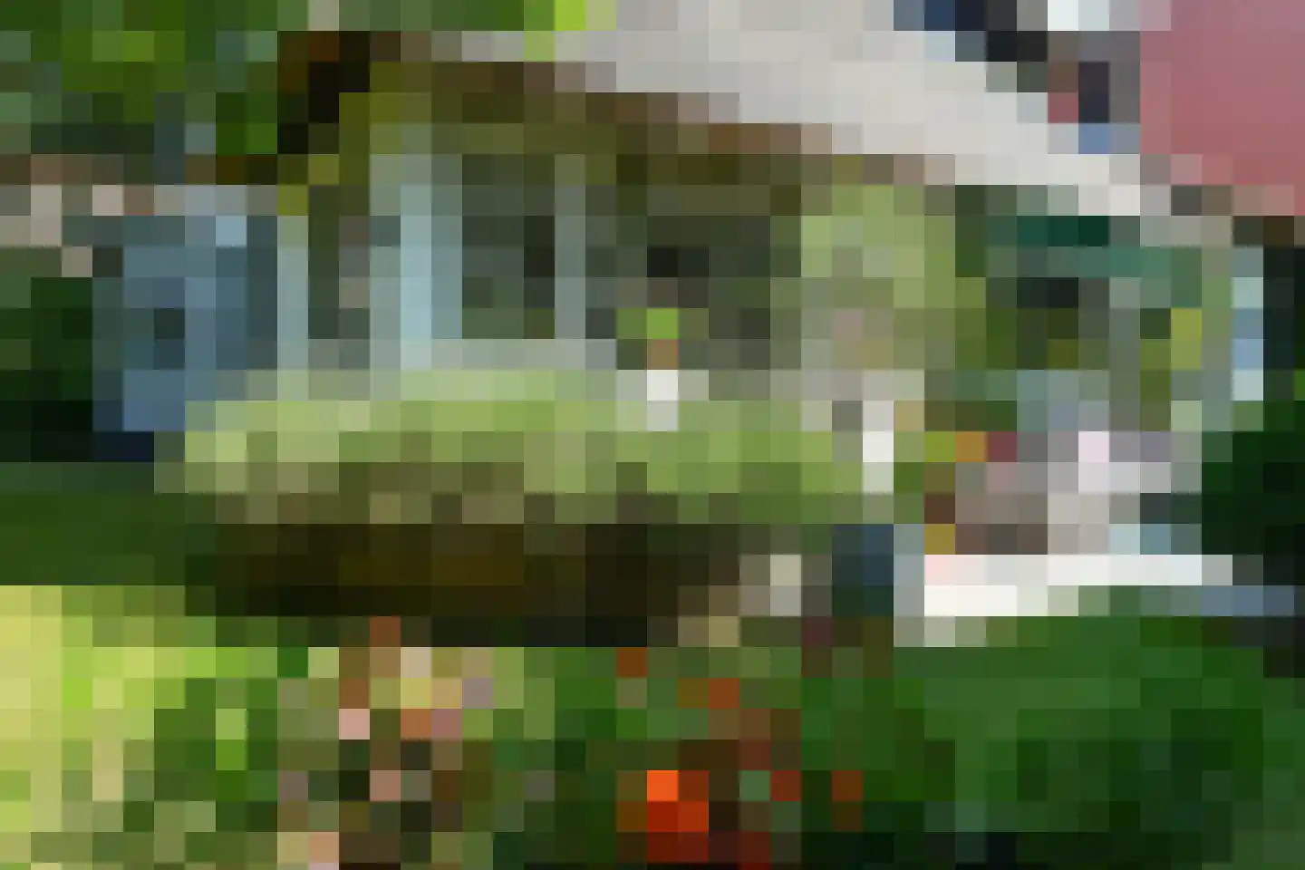 Van Ruisdaelstraat 35 Arnhem thumbnail 17