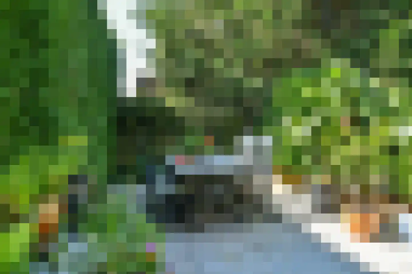 Van Ruisdaelstraat 35 Arnhem thumbnail 21