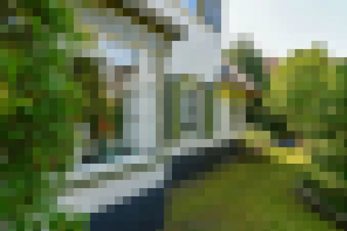 Van Ruisdaelstraat 35 Arnhem thumbnail 42