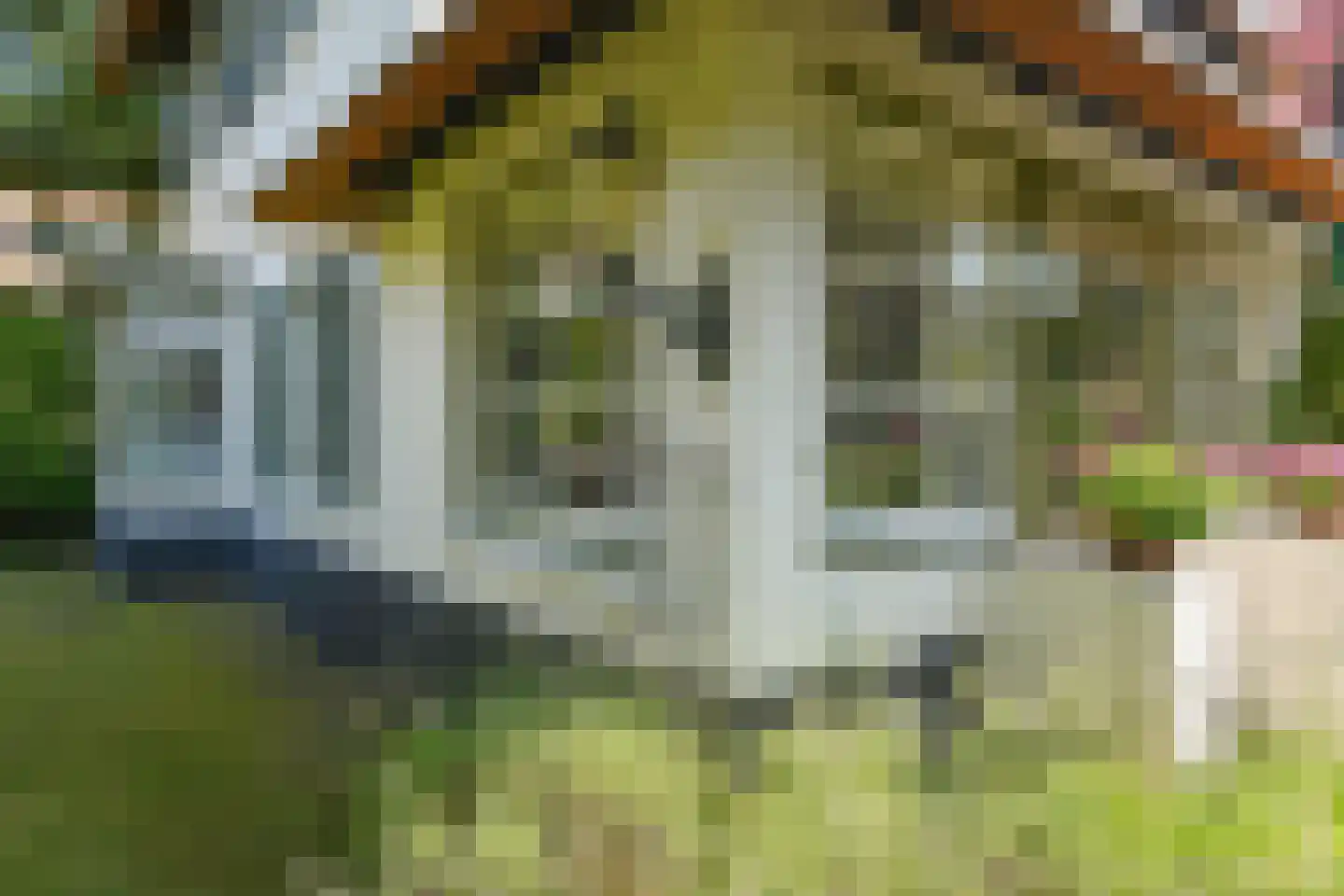 Van Ruisdaelstraat 35 Arnhem thumbnail 43