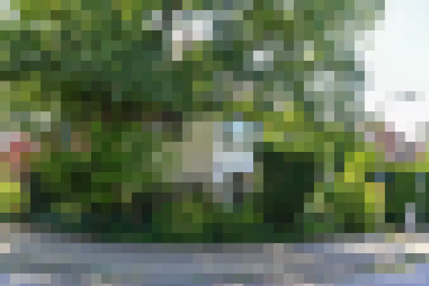 Van Ruisdaelstraat 35 Arnhem thumbnail 44