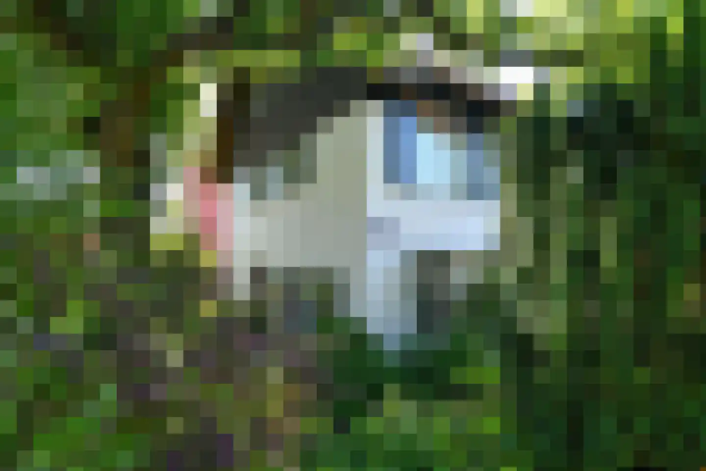Van Ruisdaelstraat 35 Arnhem thumbnail 6